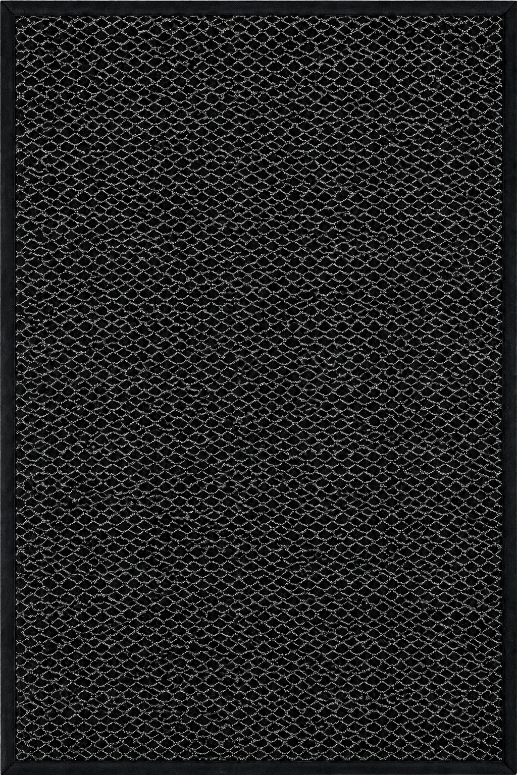 Tapis d'entrée extérieur